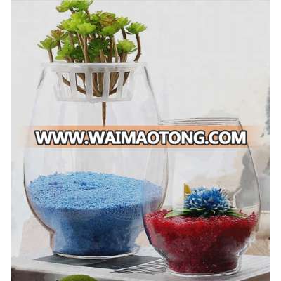 Wholesale New Design and Cheap Price Garden Clear Glass Flower Plant Pot