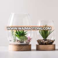 Wholesale Australia Hot selling cheap glass terrarium // DIY Decro kits Terrarium Vase for air plant/vase with wooden base